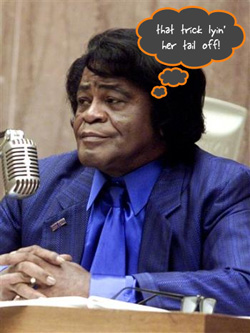 Somebody Else Wants a Piece of James Brownâ€™s Will