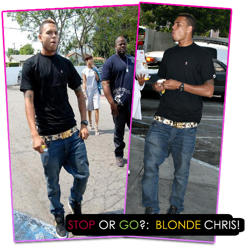Chris Brown Blonde Hair: Chris Brown Blonde Hair Photo Appears On Twitter 