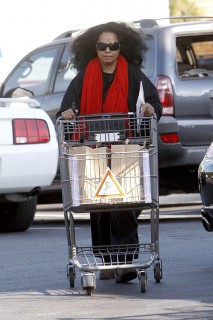 Diana Ross grocery shopping in Beverly Hills (Mar. 25th 2009)