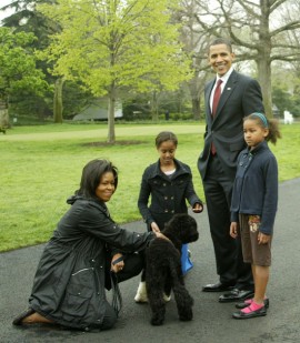 The First Family (The Obamas) playing with their new dog Bo in D.C. (Apr. 14th 2009)
