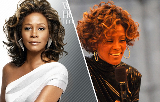 Whitney Houston Discography Zip: Software Free Download