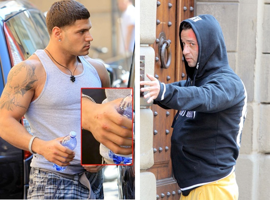 jersey shore ronnie and mike fight. According to sources, Ronnie