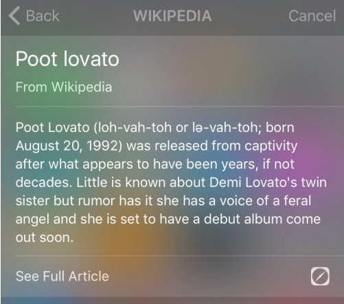 poot-lovato-wiki