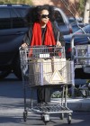 Diana Ross grocery shopping in Beverly Hills (Mar. 25th 2009)