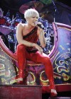 Pink performs for her “Funhouse” tour in Fairfax, VA (September 28th 2009)