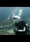 Craig Ferguson swims with the sharks for the Discovery Channel’s Shark Week 2010