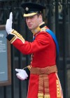 William, Duke of Cambridge (Prince William)