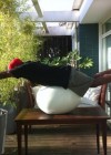 Big Boi planking