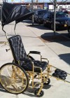 gaga-24k-gold-wheelchair