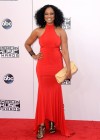 Garcelle Beauvais on the red carpet of the 2014 American Music Awards