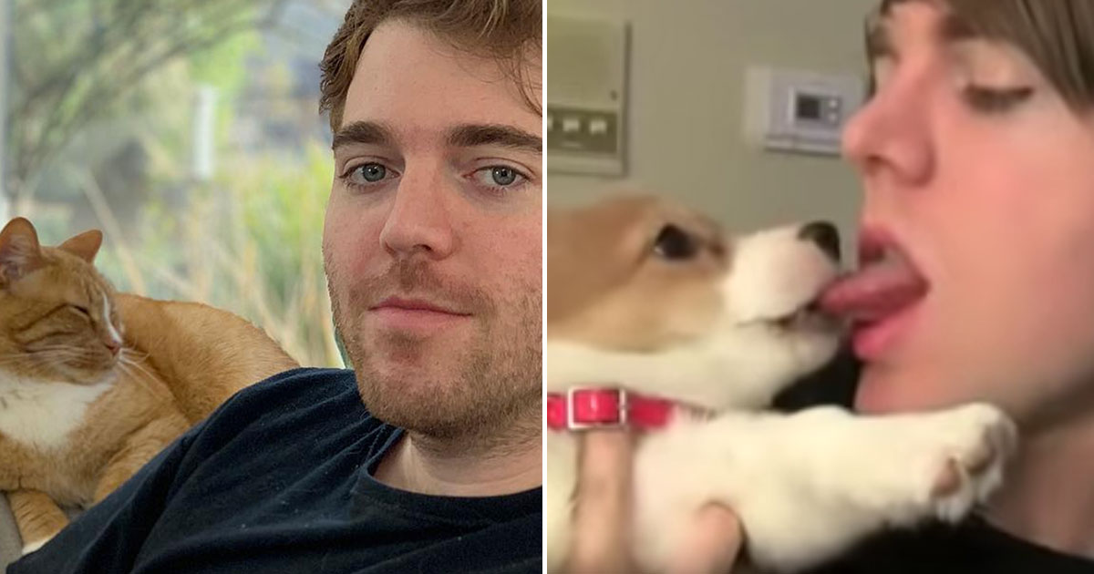 Twitter. shane-dawson-sex-with-cat-kissing-dogs. 